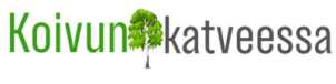 koivun katveessa